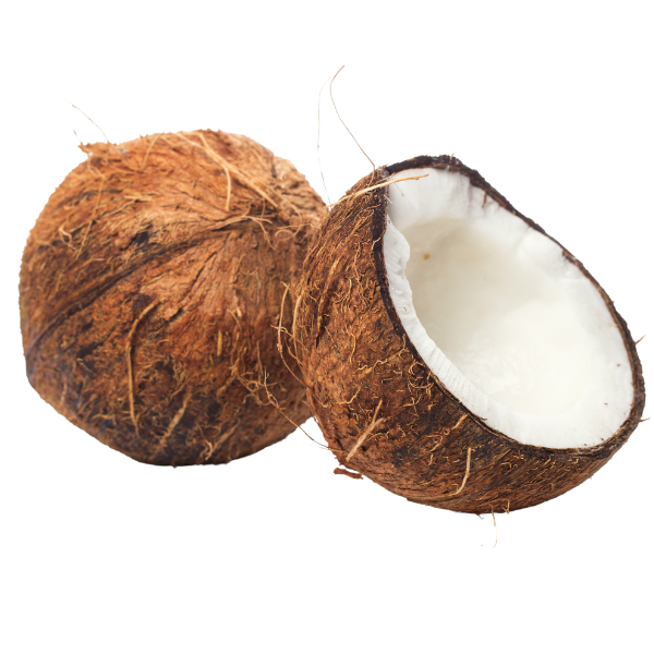 Fresh Coconut