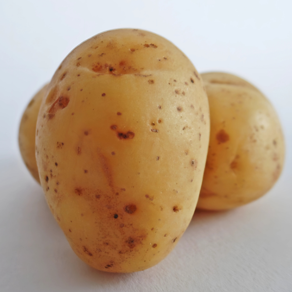 Fresh Potato